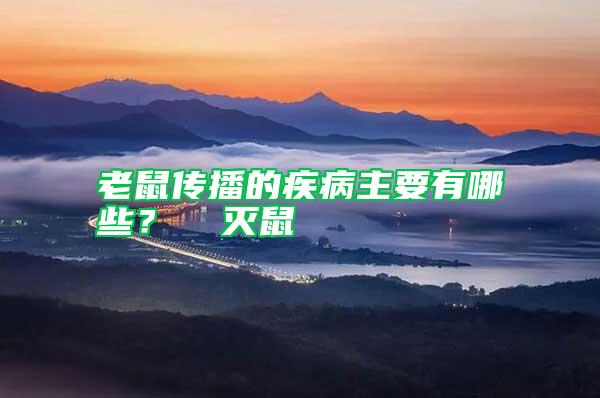 老鼠傳播的疾病主要有哪些？  滅鼠