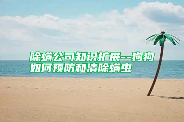 除螨公司知識擴(kuò)展--狗狗如何預(yù)防和清除螨蟲