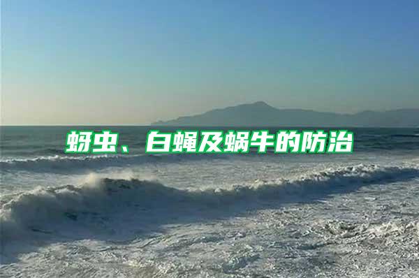 蚜蟲、白蠅及蝸牛的防治