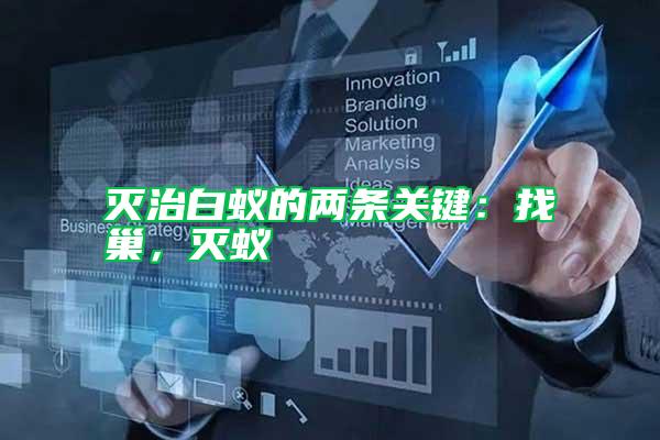 滅治白蟻的兩條關(guān)鍵：找巢，滅蟻