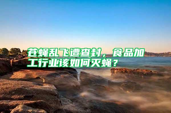 蒼蠅亂飛遭查封，食品加工行業(yè)該如何滅蠅？