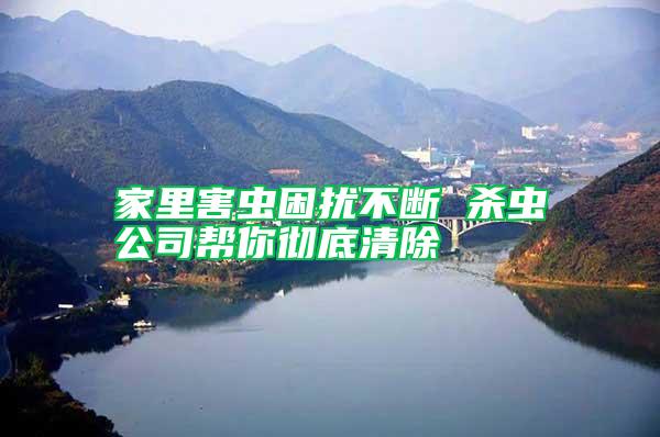 家里害蟲(chóng)困擾不斷 殺蟲(chóng)公司幫你徹底清除