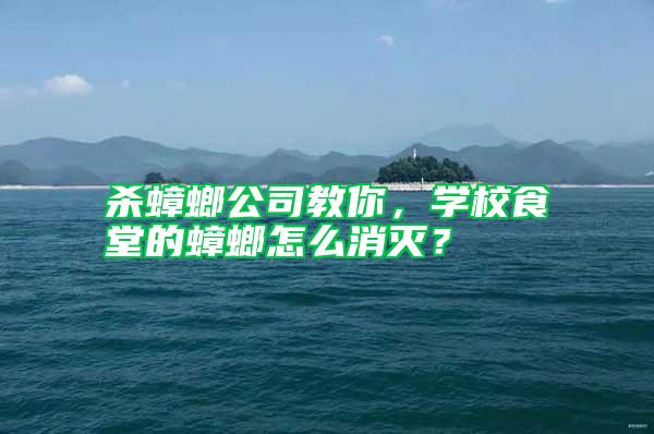 殺蟑螂公司教你，學(xué)校食堂的蟑螂怎么消滅？
