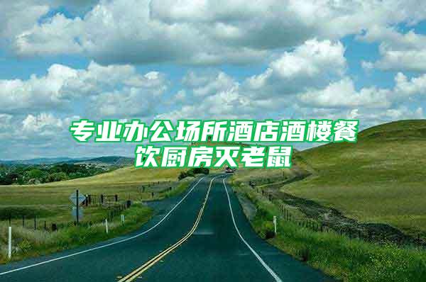 專業辦公場所酒店酒樓餐飲廚房滅老鼠