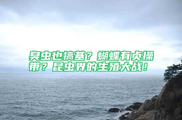 臭蟲(chóng)也搞基？蝴蝶有貞操帶？昆蟲(chóng)界的生殖大戰(zhàn)！