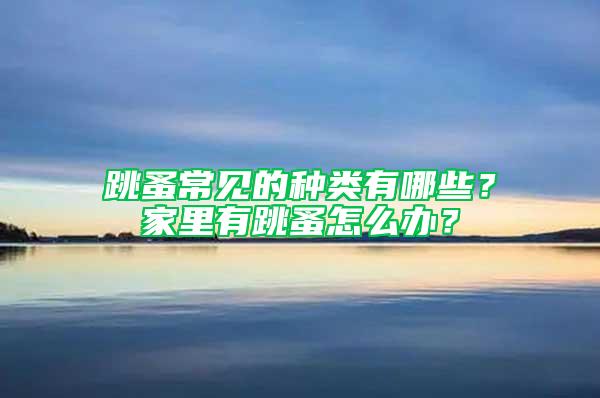 跳蚤常見的種類有哪些？家里有跳蚤怎么辦？