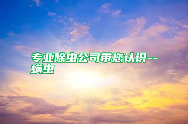 專業(yè)除蟲(chóng)公司帶您認(rèn)識(shí)--螨蟲(chóng)