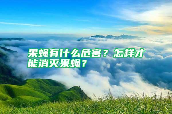 果蠅有什么危害？怎樣才能消滅果蠅？