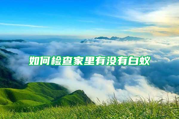 如何檢查家里有沒(méi)有白蟻