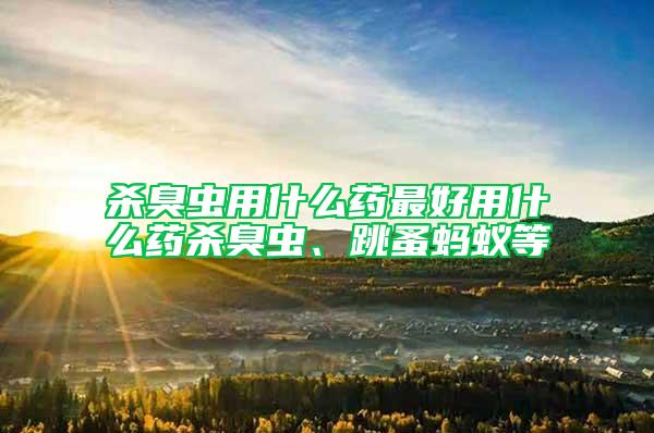 殺臭蟲(chóng)用什么藥最好用什么藥殺臭蟲(chóng)、跳蚤螞蟻等