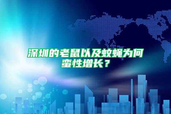 深圳的老鼠以及蚊蠅為何蠻性增長？