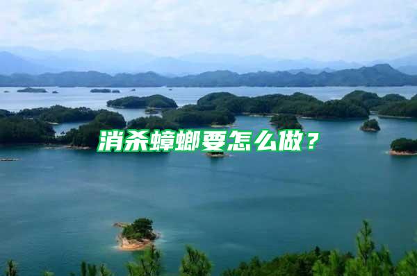消殺蟑螂要怎么做？