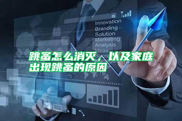 跳蚤怎么消滅，以及家庭出現跳蚤的原因