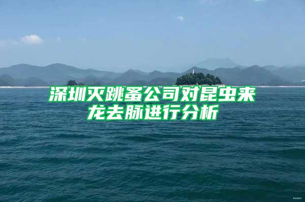 深圳滅跳蚤公司對(duì)昆蟲來龍去脈進(jìn)行分析