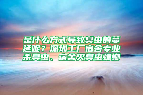 是什么方式導(dǎo)致臭蟲的蔓延呢？深圳工廠宿舍專業(yè)殺臭蟲、宿舍滅臭蟲蟑螂
