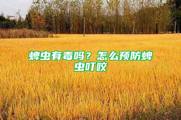蜱蟲有毒嗎？怎么預防蜱蟲叮咬