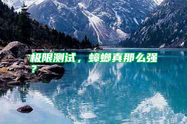 極限測試，蟑螂真那么強(qiáng)？
