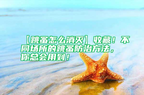 【跳蚤怎么消滅】收藏！不同場(chǎng)所的跳蚤防治方法，你總會(huì)用到！