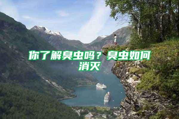 你了解臭蟲嗎？臭蟲如何消滅