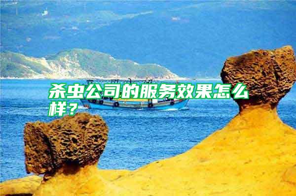 殺蟲公司的服務效果怎么樣？