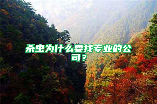 殺蟲為什么要找專業(yè)的公司？