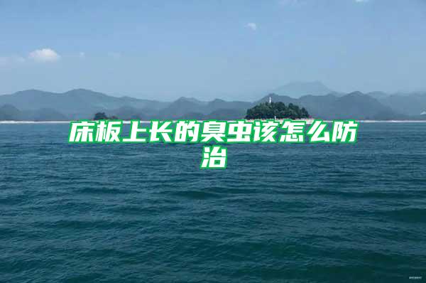 床板上長(zhǎng)的臭蟲該怎么防治