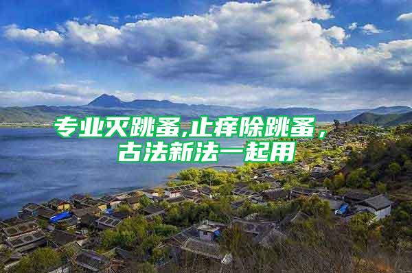 專業(yè)滅跳蚤,止癢除跳蚤， 古法新法一起用
