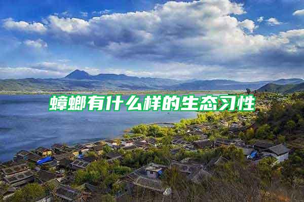 蟑螂有什么樣的生態(tài)習(xí)性