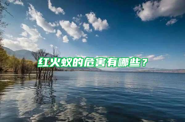 紅火蟻的危害有哪些？