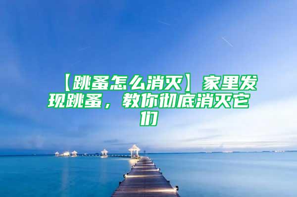 【跳蚤怎么消滅】家里發(fā)現(xiàn)跳蚤，教你徹底消滅它們