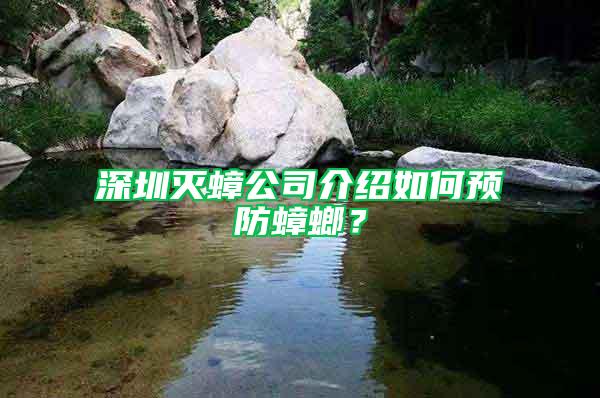 深圳滅蟑公司介紹如何預(yù)防蟑螂？
