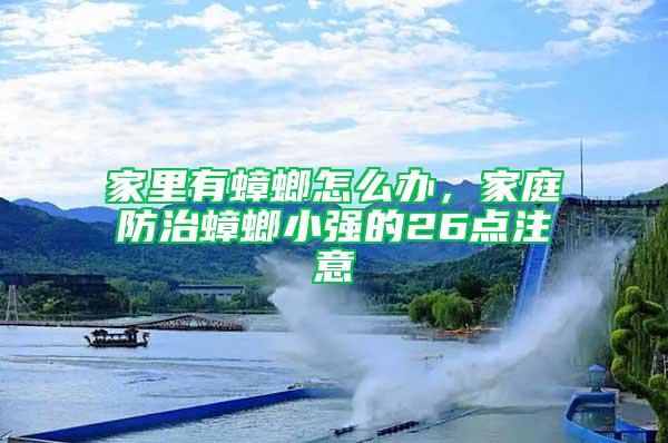 家里有蟑螂怎么辦，家庭防治蟑螂小強的26點注意