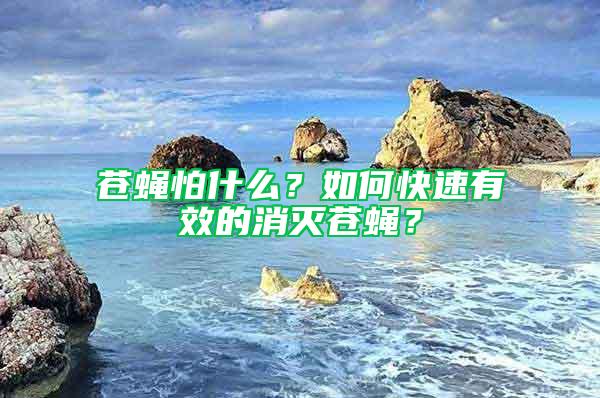 蒼蠅怕什么？如何快速有效的消滅蒼蠅？