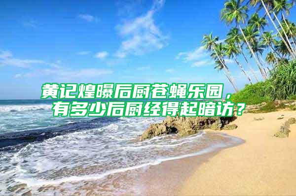 黃記煌曝后廚蒼蠅樂園， 有多少后廚經(jīng)得起暗訪？