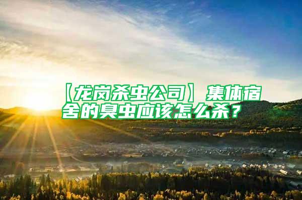 【龍崗殺蟲公司】集體宿舍的臭蟲應該怎么殺？