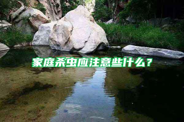 家庭殺蟲應(yīng)注意些什么？
