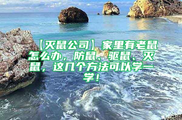 【滅鼠公司】家里有老鼠怎么辦，防鼠、驅鼠、滅鼠，這幾個方法可以學一學！