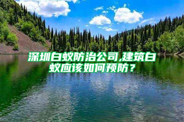 深圳白蟻防治公司,建筑白蟻應(yīng)該如何預(yù)防？