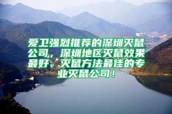 愛衛強烈推薦的深圳滅鼠公司，深圳地區滅鼠效果最好、滅鼠方法最佳的專業滅鼠公司！
