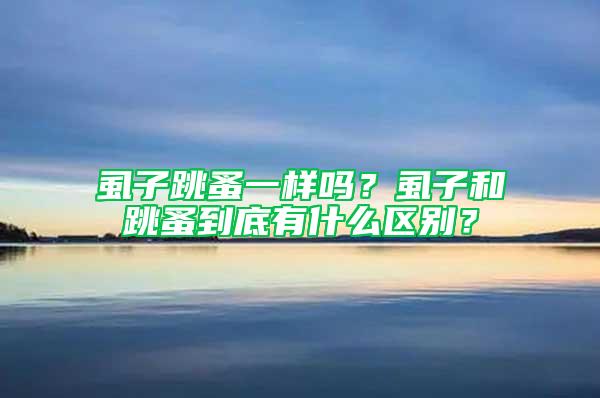 虱子跳蚤一樣嗎？虱子和跳蚤到底有什么區(qū)別？
