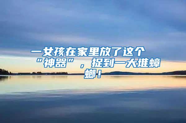 一女孩在家里放了這個(gè)“神器”，捉到一大堆蟑螂！