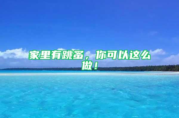 家里有跳蚤，你可以這么做！