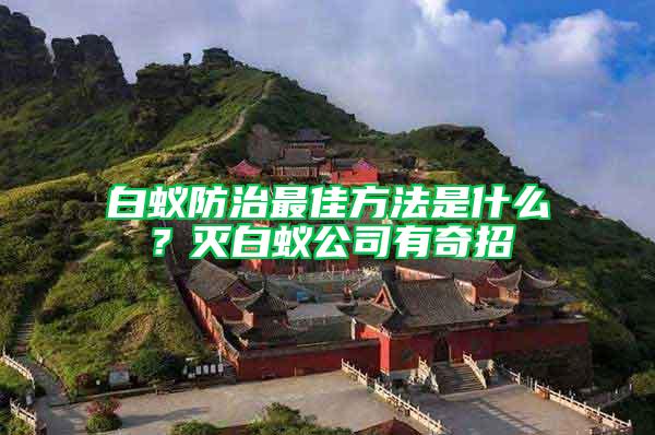 白蟻防治最佳方法是什么？滅白蟻公司有奇招