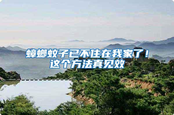 蟑螂蚊子已不住在我家了！這個(gè)方法真見效