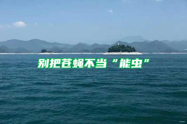 別把蒼蠅不當(dāng)“能蟲(chóng)”