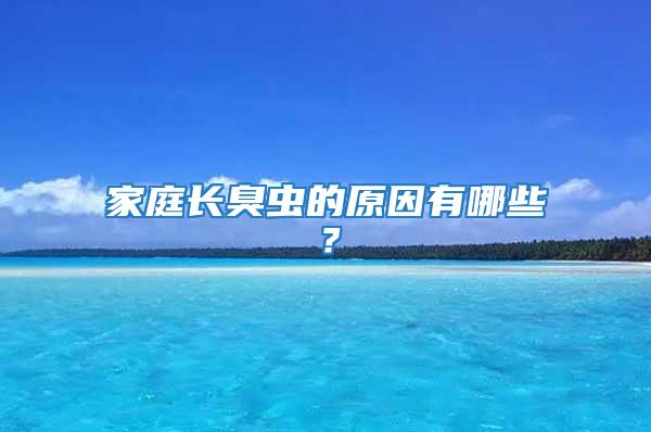 家庭長臭蟲的原因有哪些？