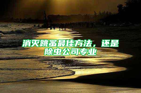 消滅跳蚤最佳方法，還是除蟲公司專業