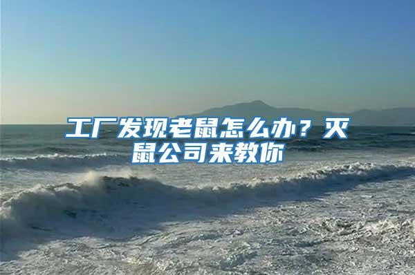 工廠(chǎng)發(fā)現(xiàn)老鼠怎么辦？滅鼠公司來(lái)教你