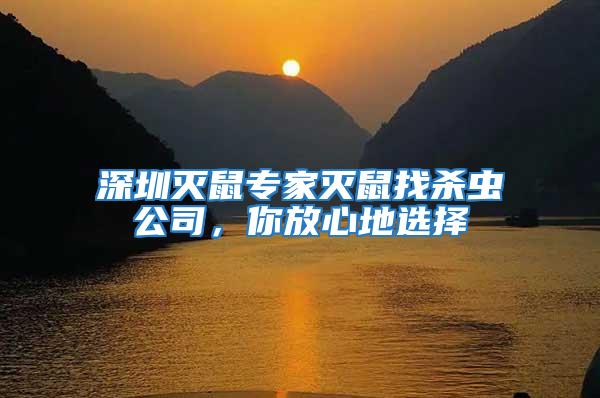 深圳滅鼠專家滅鼠找殺蟲公司，你放心地選擇