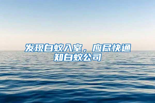 發現白蟻入室，應盡快通知白蟻公司